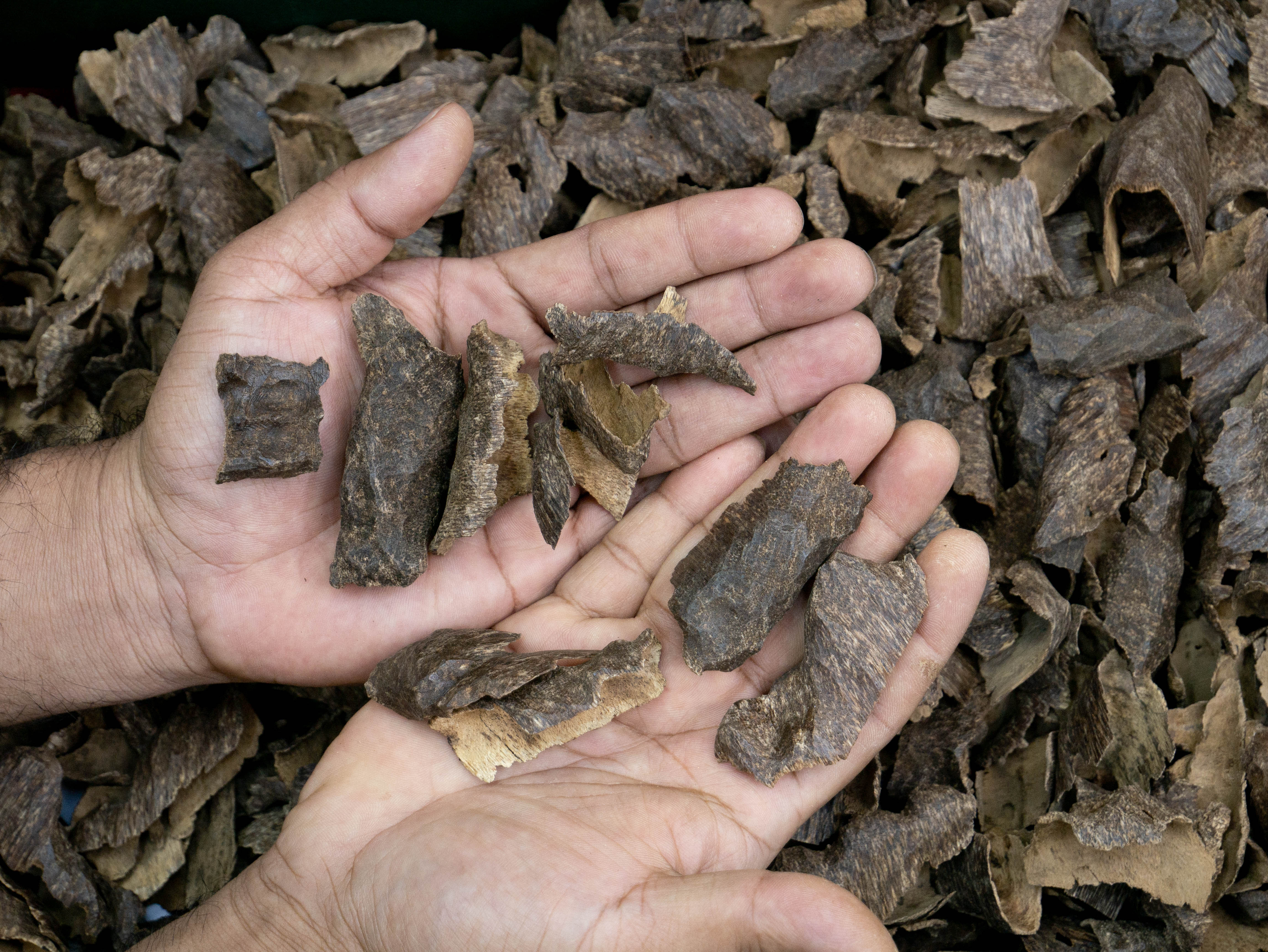 INDIAN GIRMIT DOUBLE SUPER