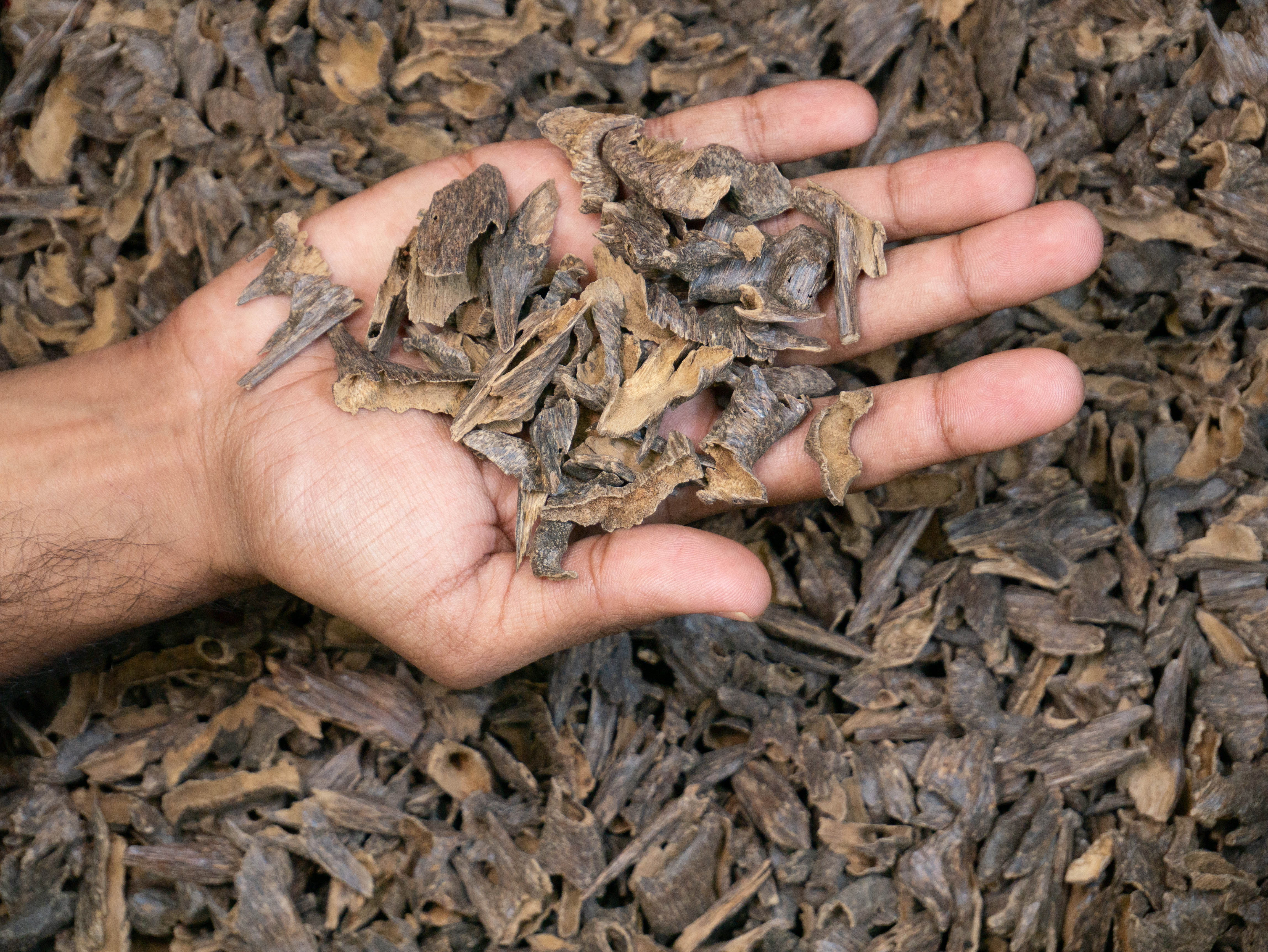 INDIAN MOORI TRIPLE SUPER