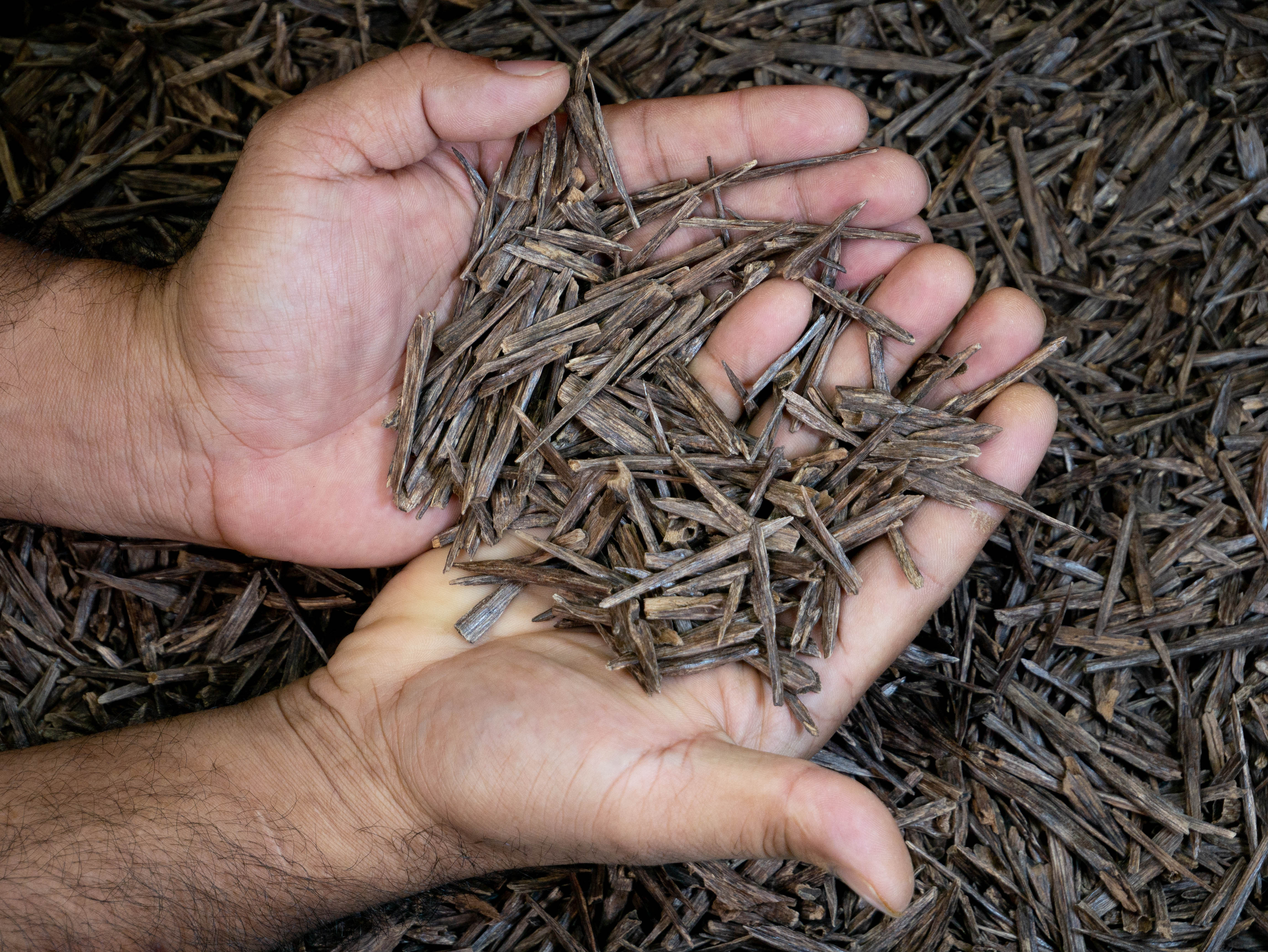 INDIAN SALLA DOUBLE SUPER