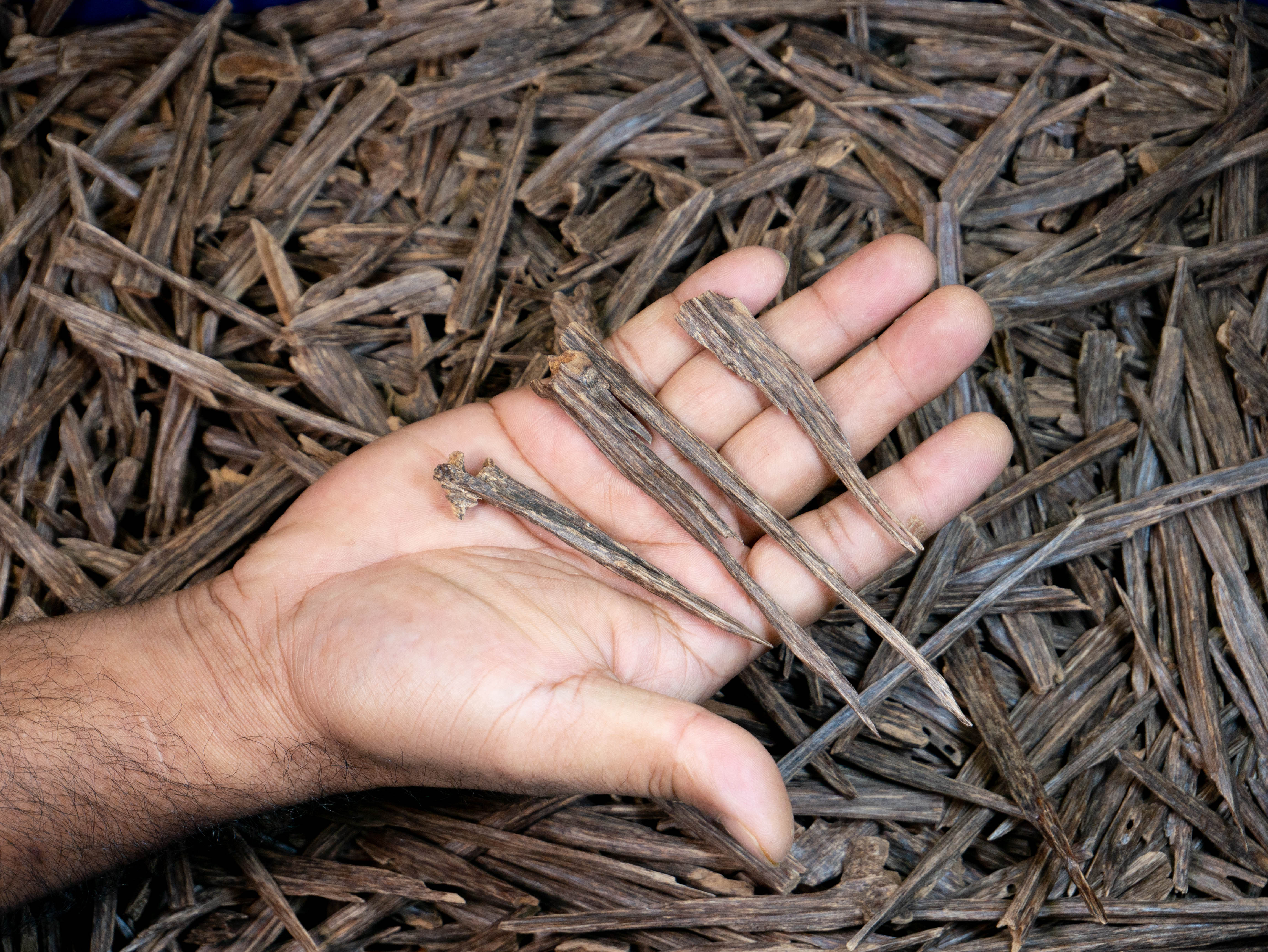 INDIAN SALLA TRIPLE SUPER