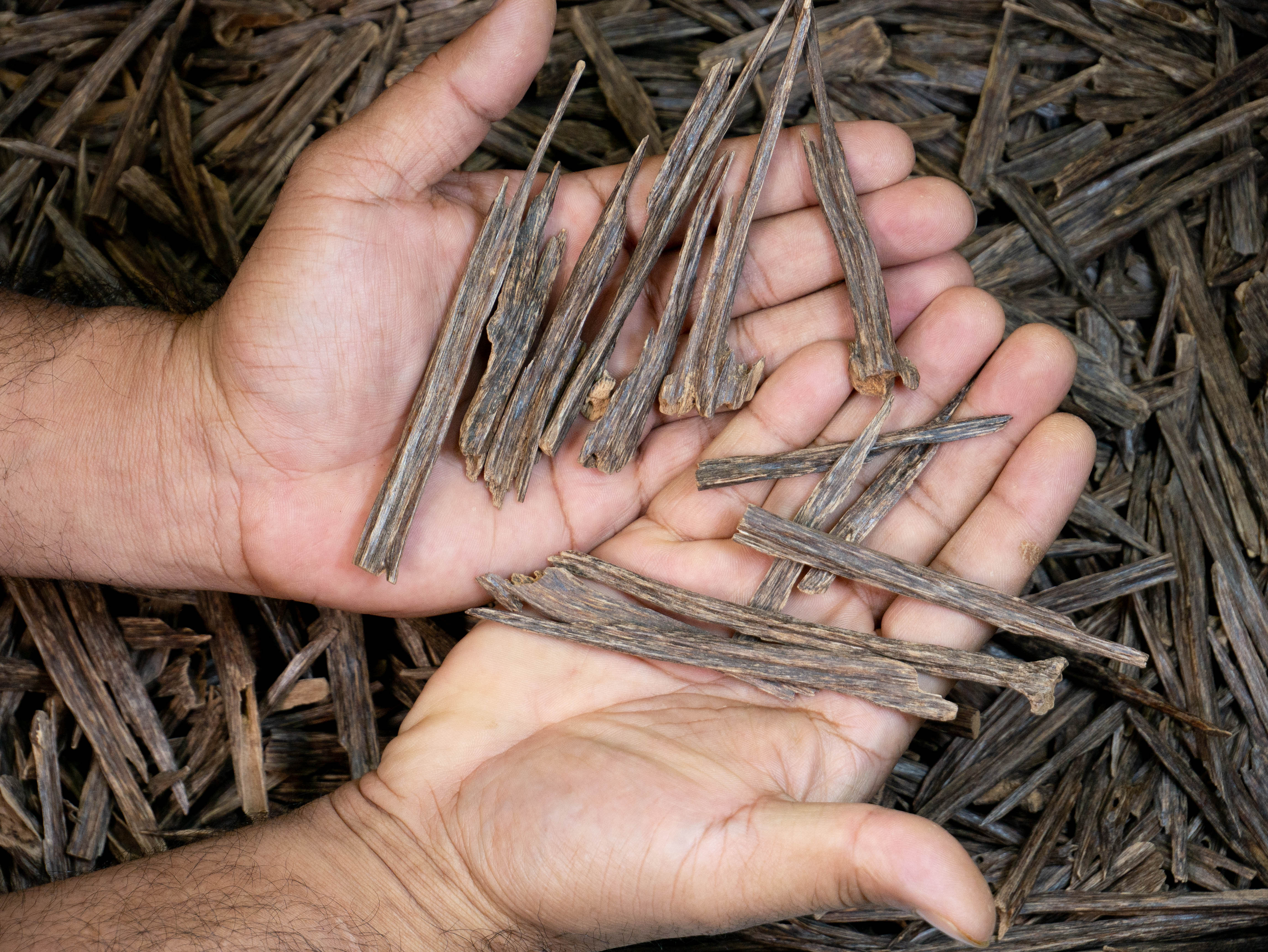 INDIAN SALLA TRIPLE SUPER