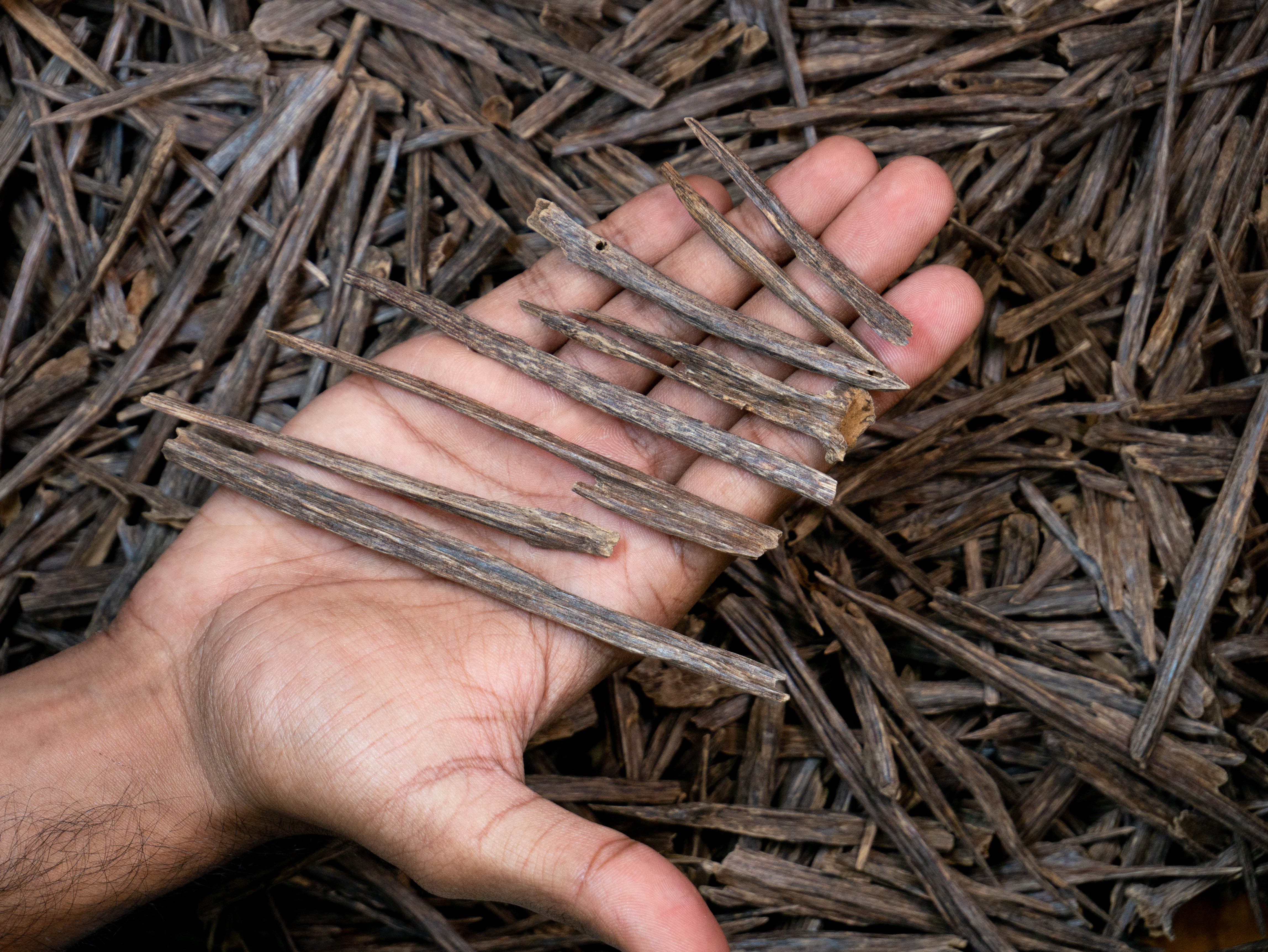 INDIAN SALLA TRIPLE SUPER