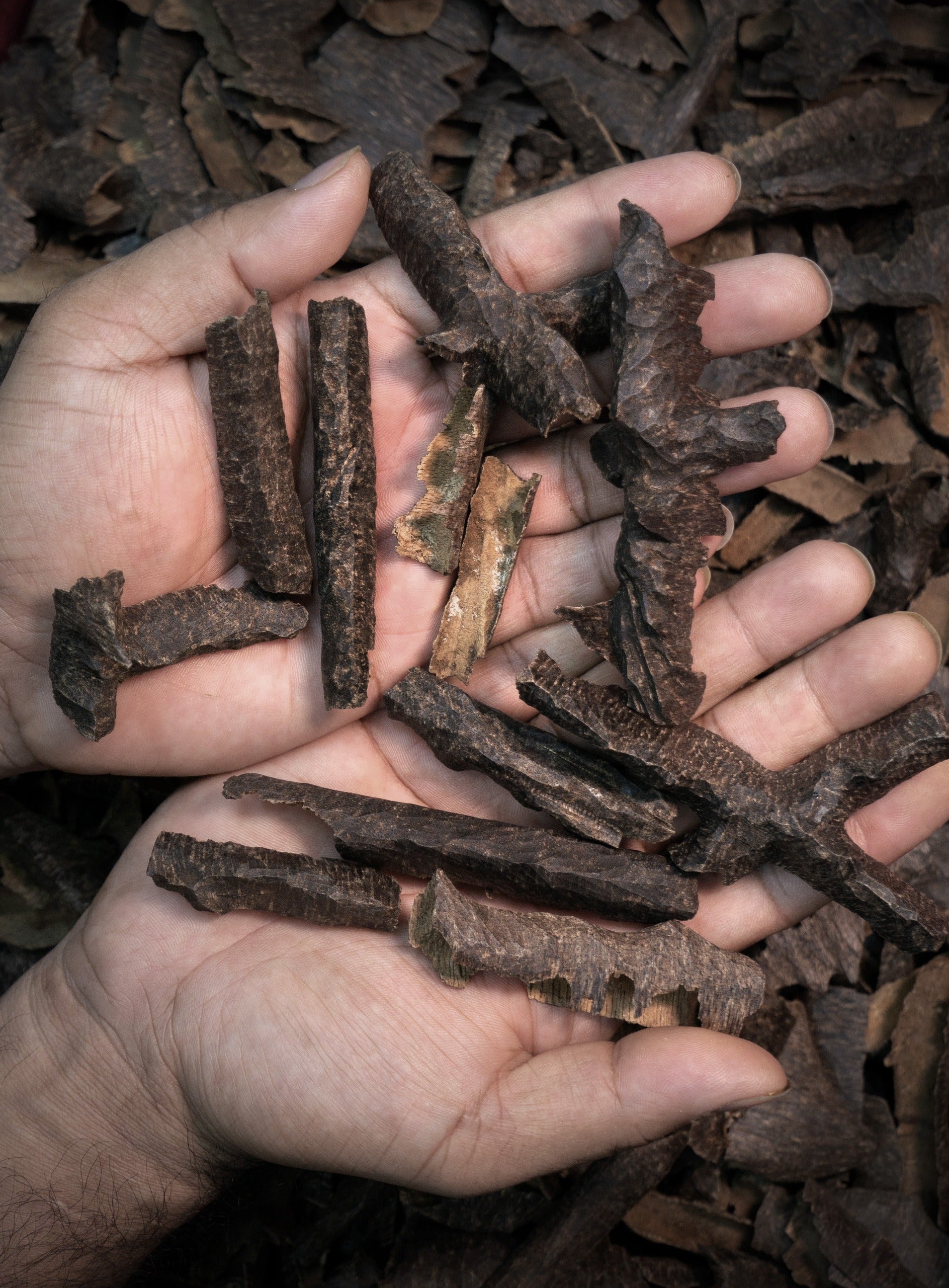 Manipur zawaya Triple super